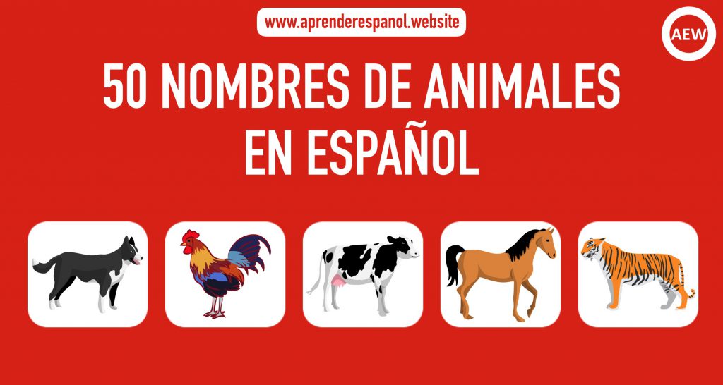50 nombres de animales en español - animales en español - vocabulario de los animales en español - lista de animales